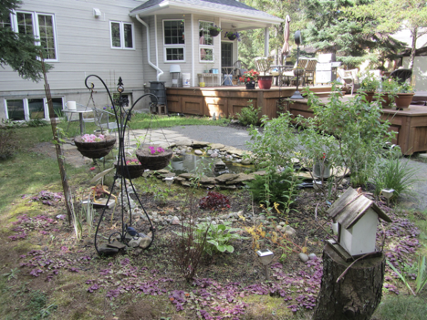 rain garden installed in a backyard