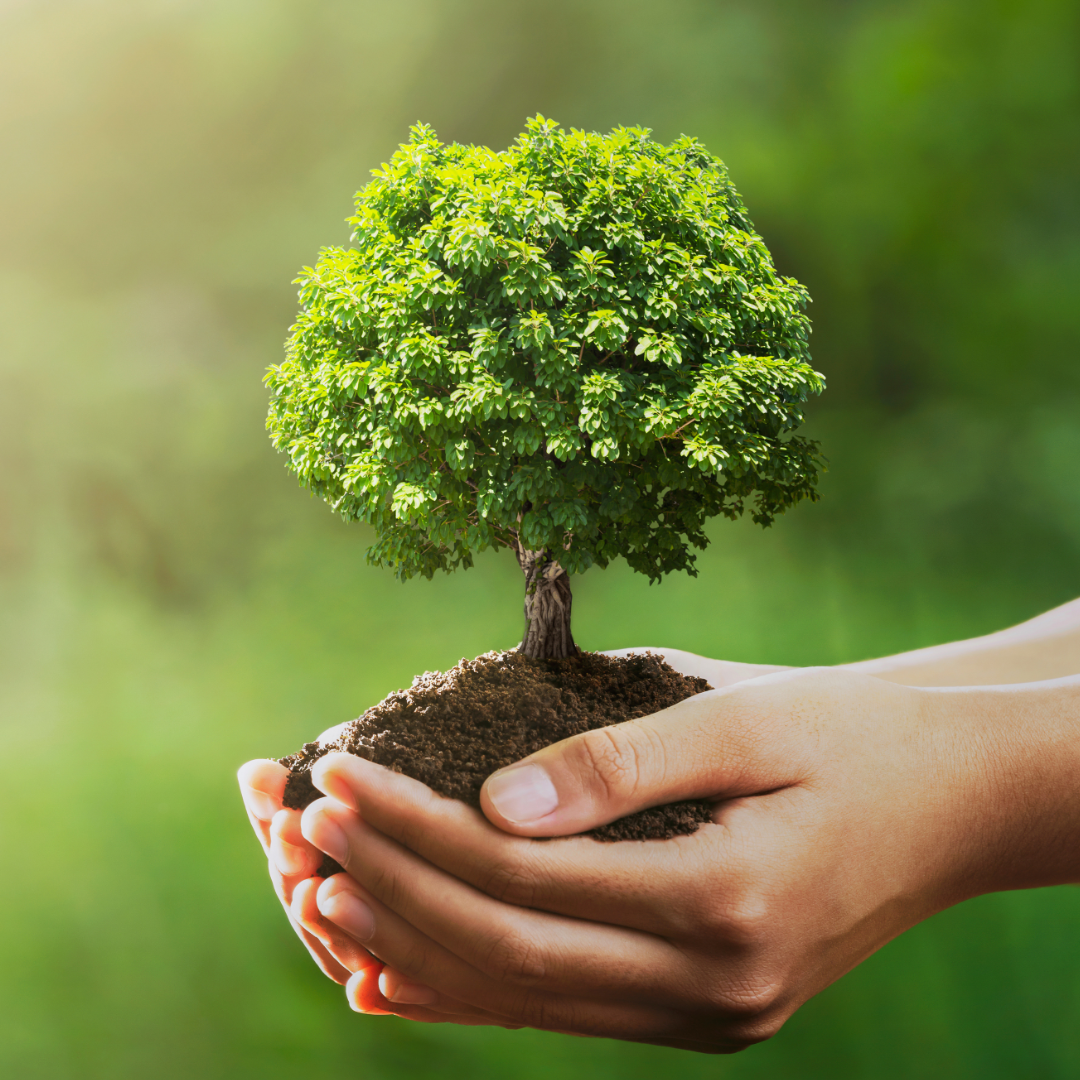 Earth Day All Year Long