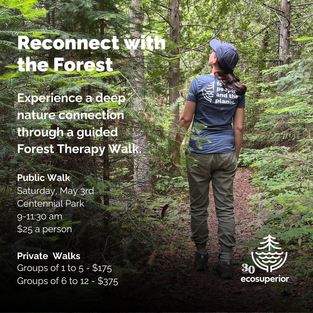 forest-therapy-gift--instagram-post-