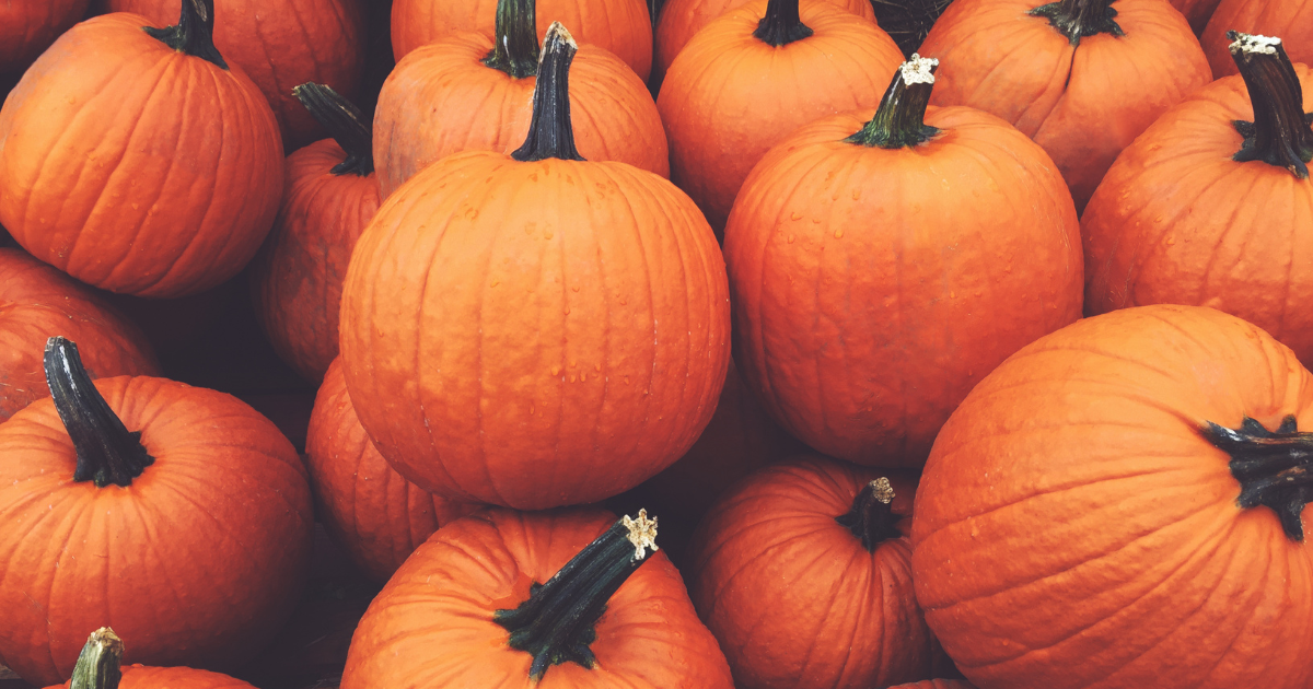 Pumpkin Compost