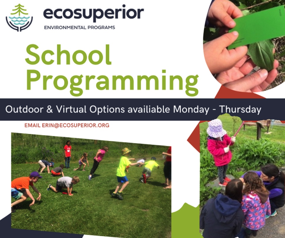 ecosuperior school programming