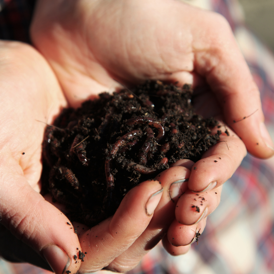 hand holding work composting