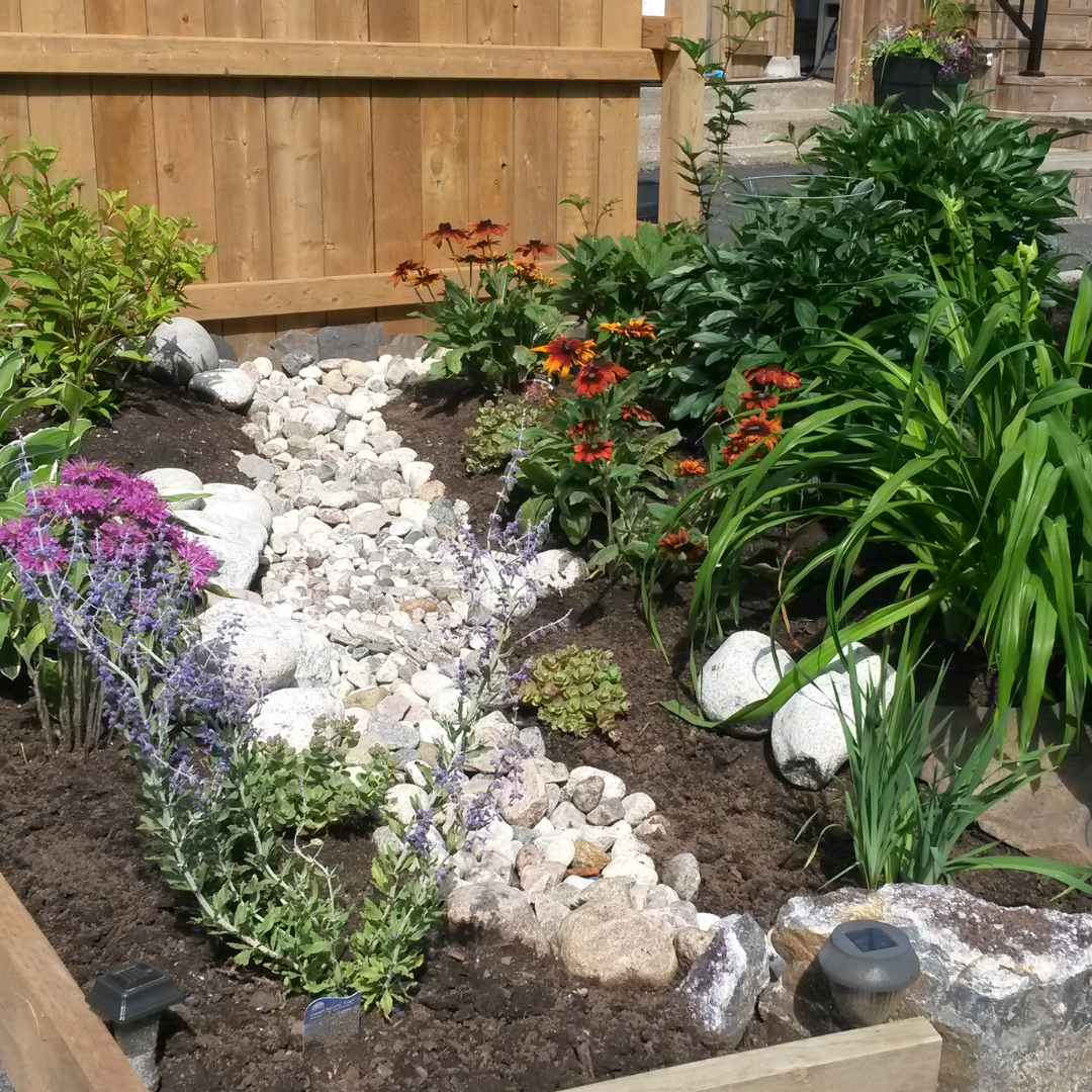 Healing Power of Rain Gardens