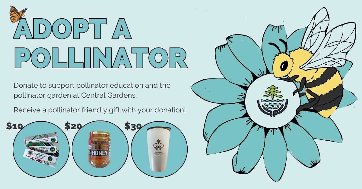 adopt-a-pollinator-