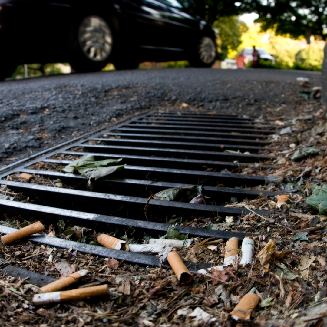 Adopt a Storm Drain